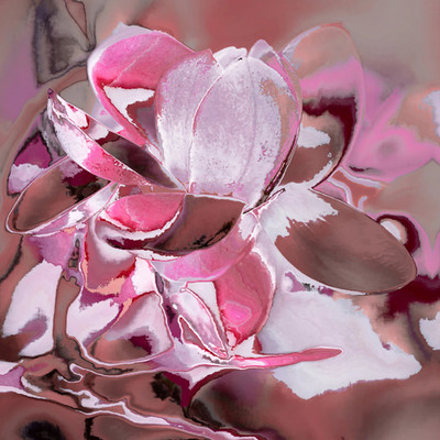 Floral Fine Art Print 11x14 Archival Botanical Wall Art Abstract Flower Décor