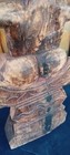 Bild 20 von 24