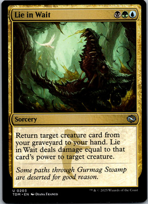 Lie in Wait Tarkir: Dragonstorm NM Normal
