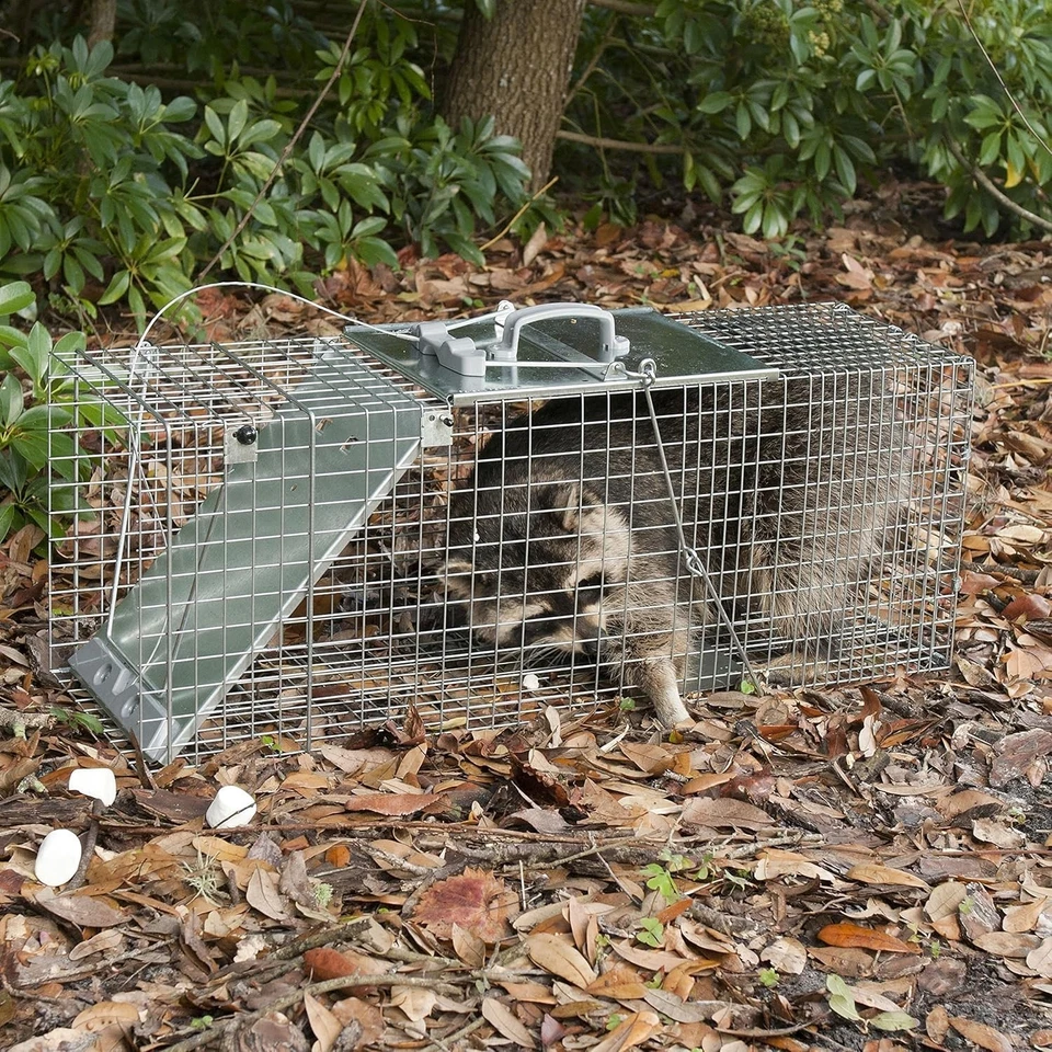 Durable 1085 Humane Trap for Armadillos, Raccoons - Easy Setup & Safe Release - Image 4 of 4