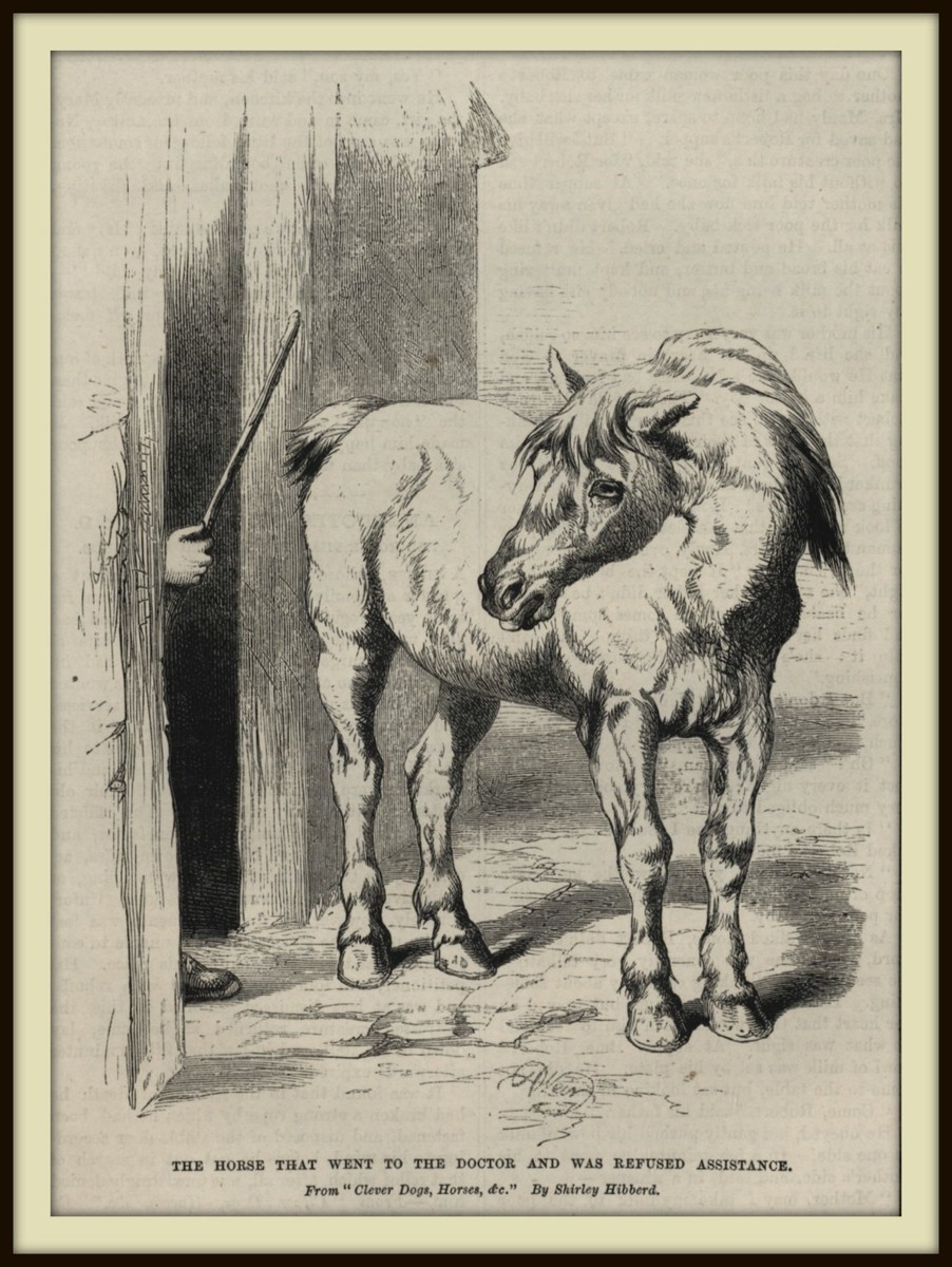 VINTAGE WOODCUT PRINT - 