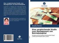 Eine Vergleichende Studie Zum Management Von Betriebskapital | Buch | 9786203100