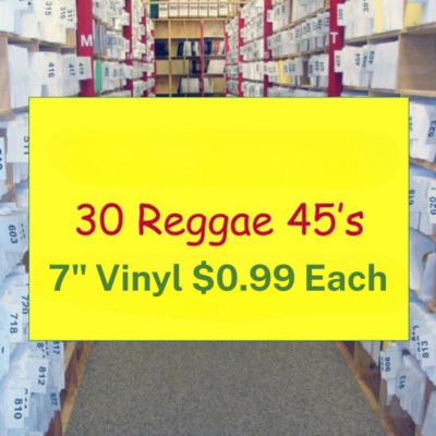 Reggae Vinyl Lot 30 New 7'' 45s Anthony B, Sizzla, Capleton, Luciano, More