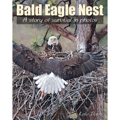 Bald Eagle Nest by Davis, Kate