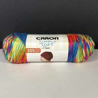 Caron Simply Soft Paints RAINBOW BRIGHT 1 Skein 5 oz 235 yds Acrylic Yarn