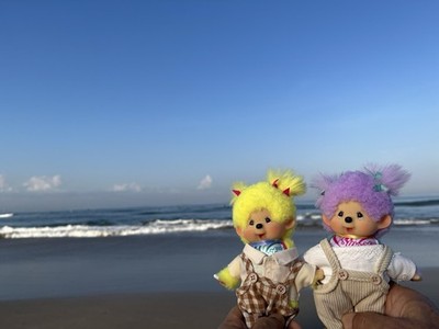 Sekiguchi Monchhichi Sweet Lollipops PAIR S Size | Plush Doll w