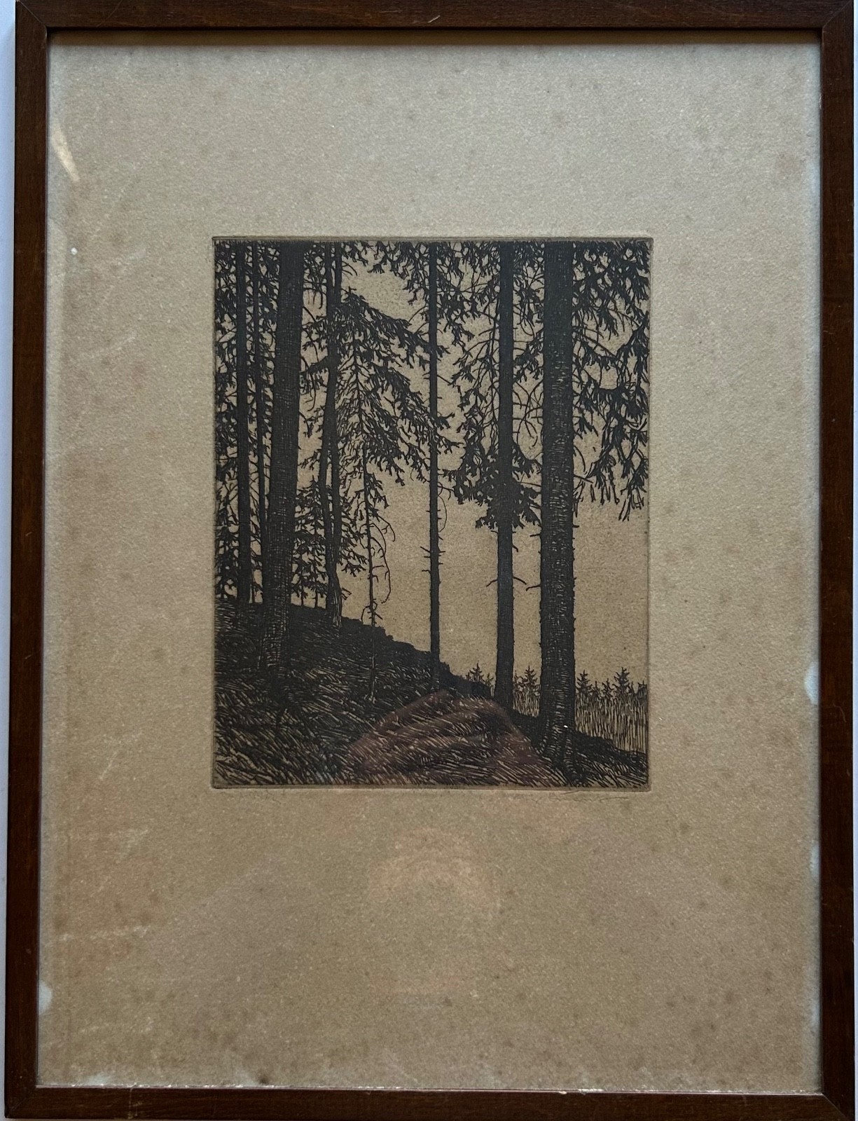 Aguafuerte Fritz Quant Bosque Árboles Abeto Abetos 49,7 X 37,2CM Marco de Fotos