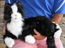 Joy For All -Black  White Robotic Comfort  Companion Cat for People Ages 5-105