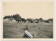 Foto Heeres Artillerie fährt in Stellung (9505a)