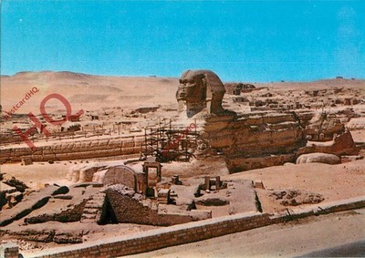 Ansichtskarte>>Gizeh, die große Sphinx