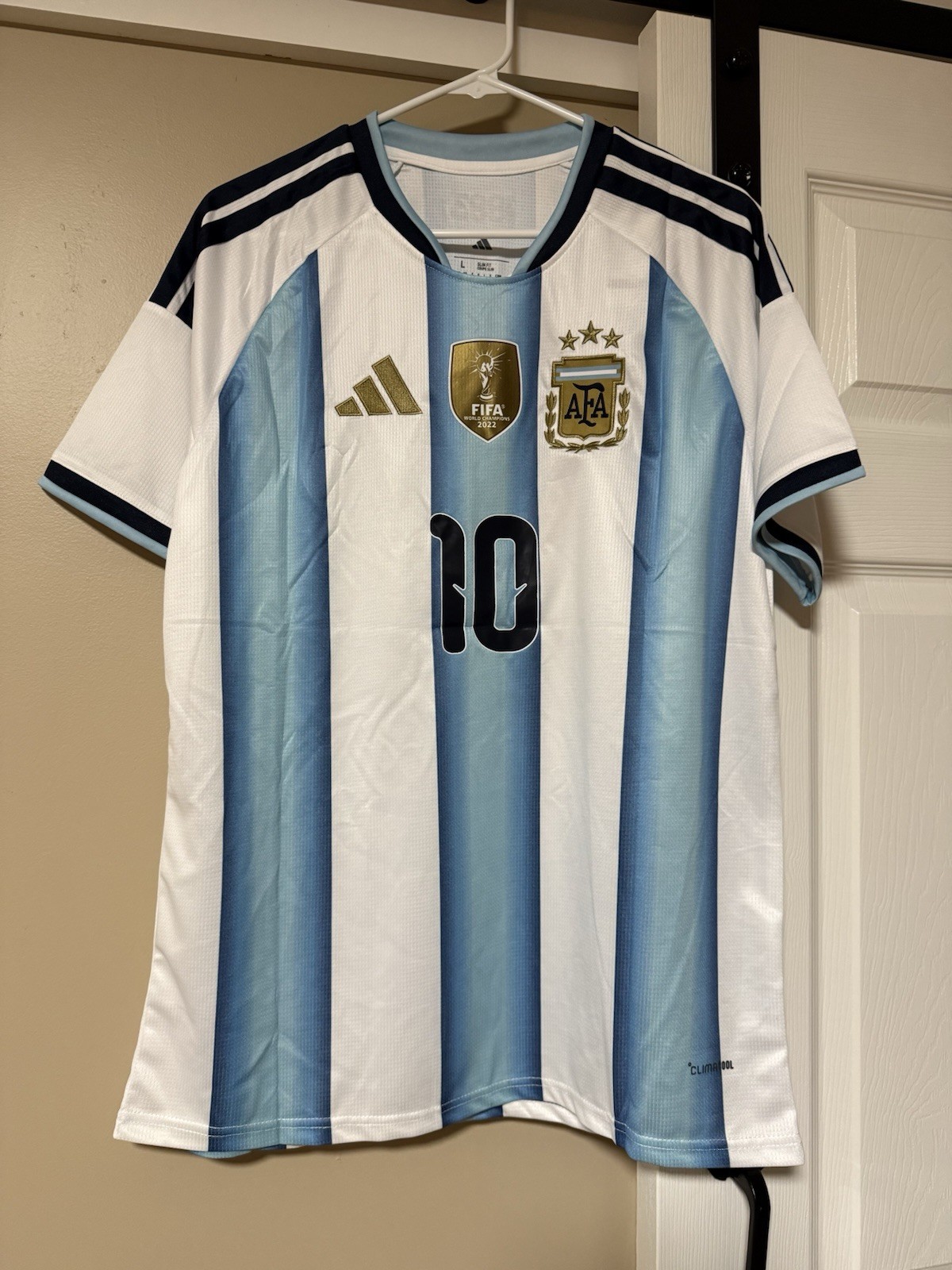 Lionel Messi Argentina World Cup #10 World Cup Jersey Size Large, L