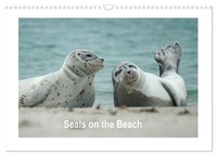 Seals On The Beach (Wall Calendar 2026 DIN A3 Landscape), Calvendo 12 Month...