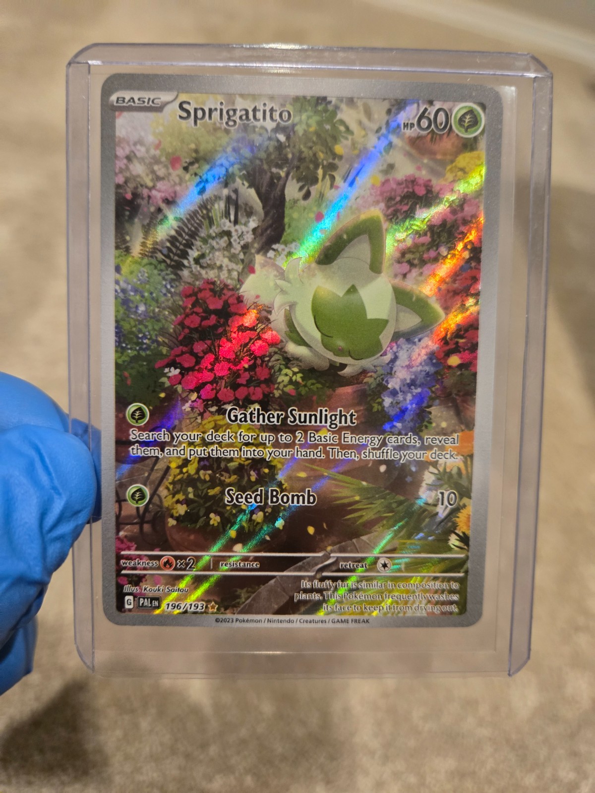 Sprigatito 196/193 Sv02: Paldea Evolved Holo