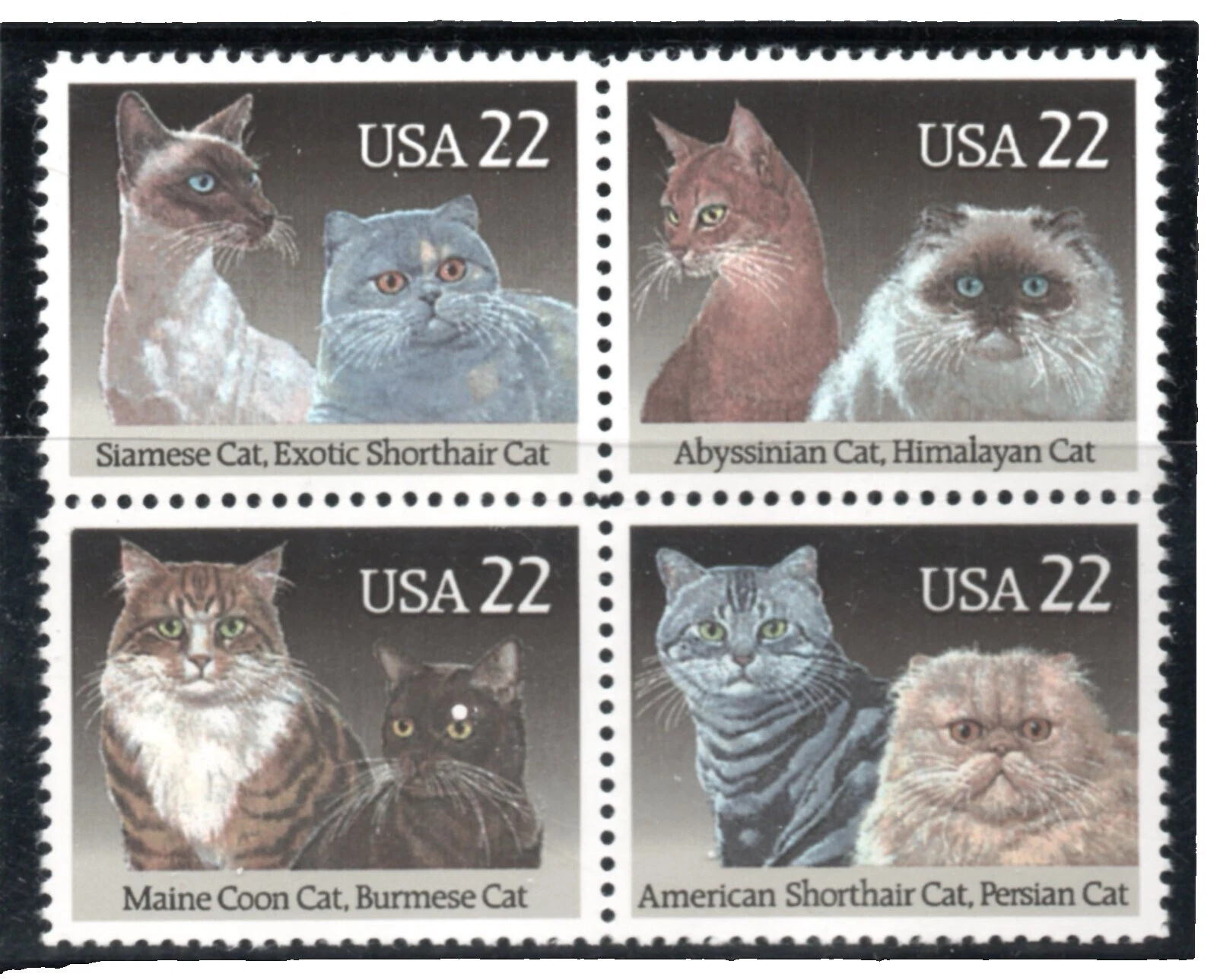 En excelente estado nunca abisagrado/estampillada sin montar o nunca montada Gatos sellos de Estados Unidos