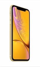 iPhone XR with TikTok installed