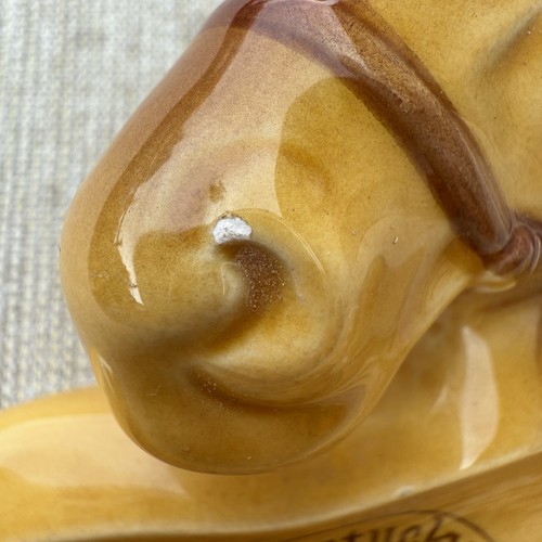 Vintage Kentucky Ceramic Souvenir Ashtray Horse Head Made in Japan - Picture 3 of 4