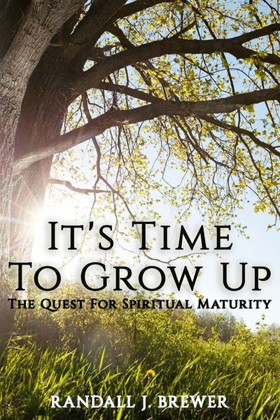 Randall J Brewer | It's Time To Grow Up | Taschenbuch | Englisch (2019)-image