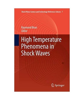 High Temperature Phenomena in Shock Waves