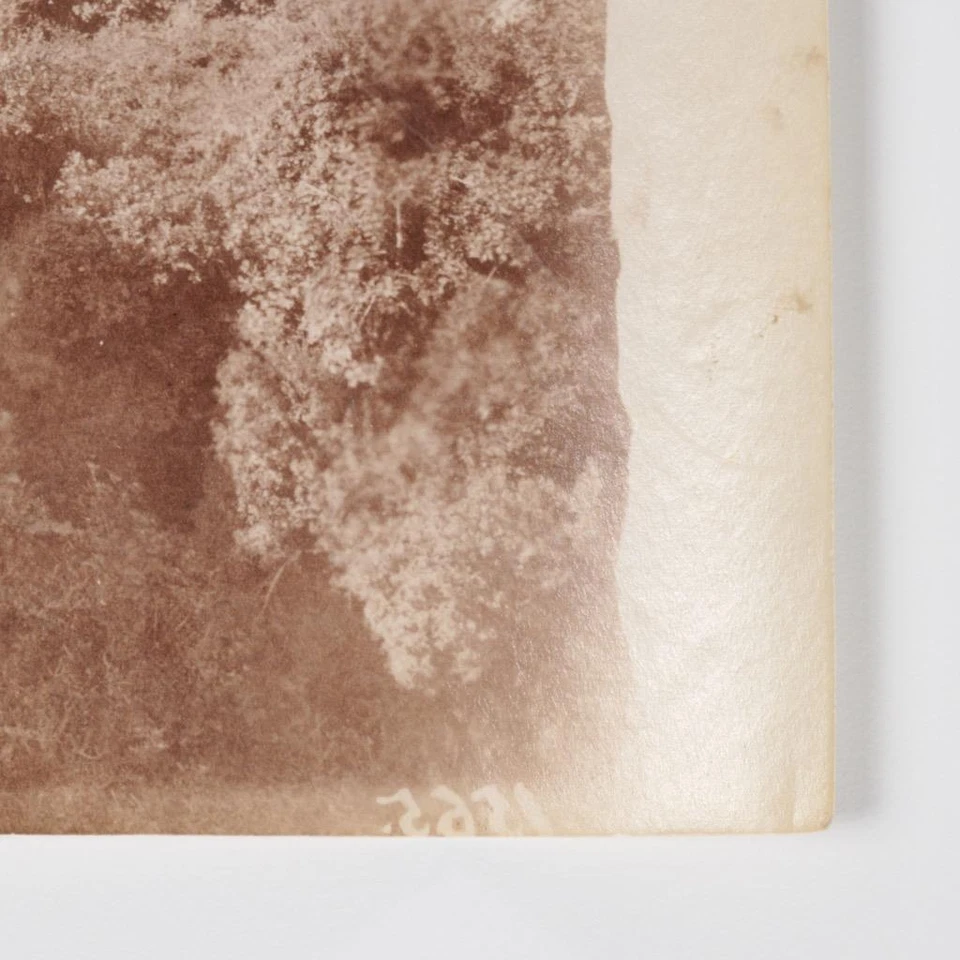 Baron Wilhelm Von Gloeden German Artist Albumen Print Photograph Single Sheet B - Image 2 of 4