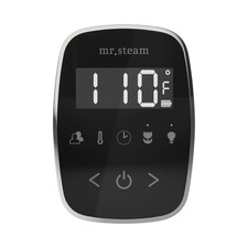 Mr Steam TF Tempoflex Steam Shower Control and Steamhead - Black / Brilliant