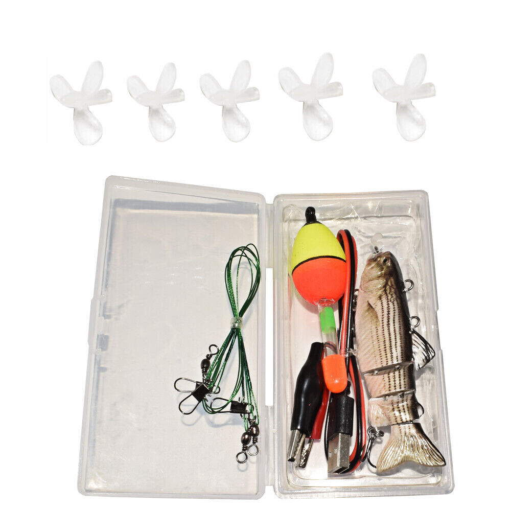 En Afrique, Des Poissons électriques Utilisent La Détection Collective