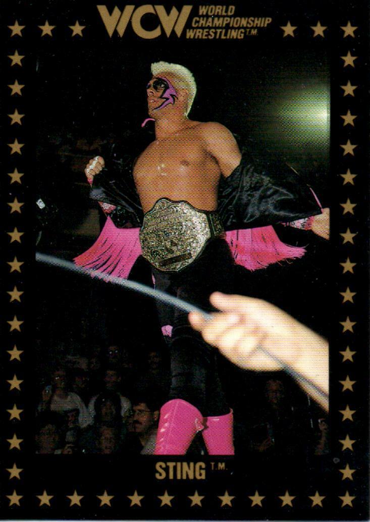ECWプロレスカード サンドマン Sandman Signed WWE Pro