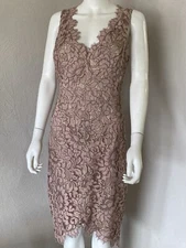 Eliza J Tulip Hem Lace Dress Blush, Pink Size 10