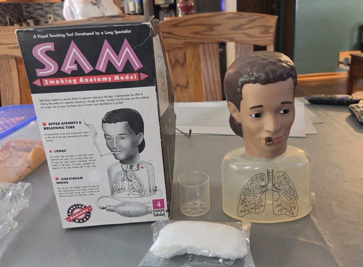 Smoking Anatomy Model SAM Anti- Smoking Model Parts Missing