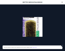 BRITTNY MEDIUM PALM BRUSH