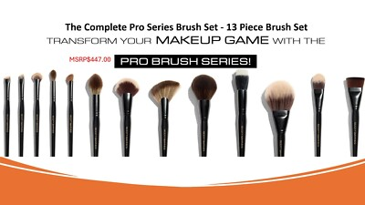 #ad 13 Pcs full set of Scott Barnes brushes Brandnew $185.00