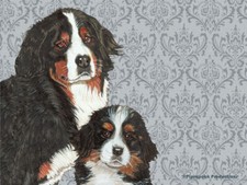 Bernese Mountain Dog Cutting Board Tempered Glass, Pet Placemat, 11.5" x 15.5"