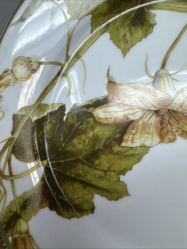 8 Williams-Sonoma BOTANICAL PUMPKIN 8 ¾” Salad or Dessert Plates - Picture 6 of 17