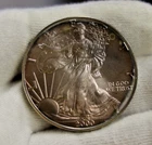 2000 US Silver Eagle $1 Nice Toning