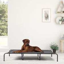 In/Outdoor 60 inch Cooling Elevated Dog Bed with Metal Frame Raised Pet Bed Cot