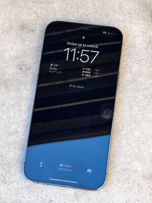 Buy Apple iPhone 12 Pro Max - 128 GB - Graphite (Unlocked) online