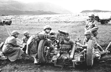 WW2 Picture Photo 1943 US Army crew ready to fire 37mm sub-caliber 1702