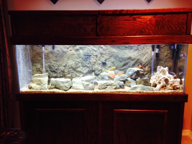 Picture 6 of 6