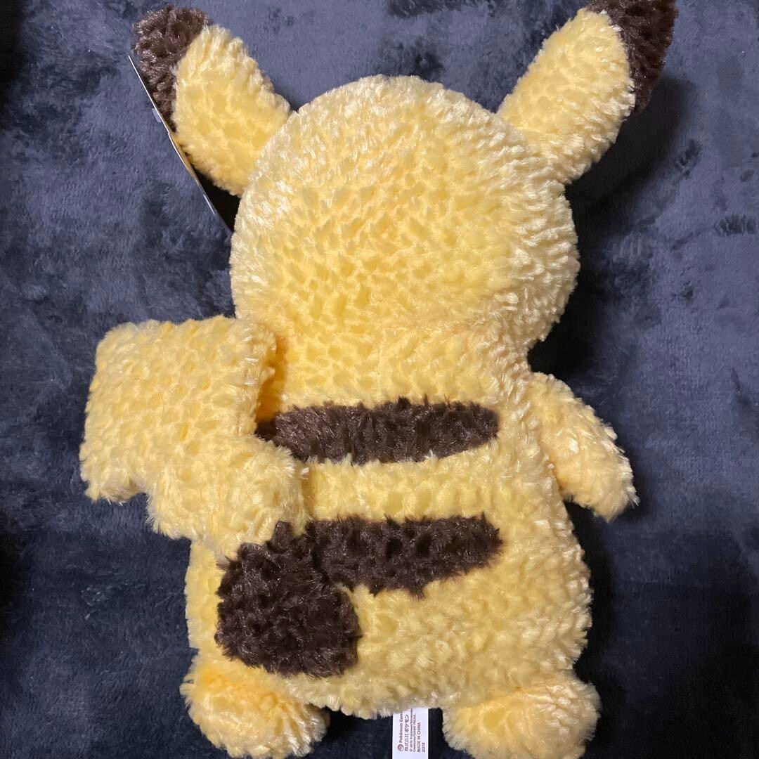 Pikachu's Closet Plush Pokemon Center Original Stuffed Toy Limited