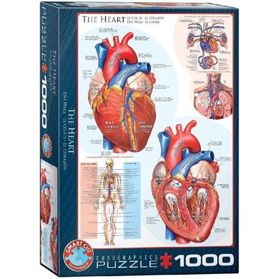 Das Herz 1000 Teile | Spiel | In Spielebox | Deutsch | 2024 | Eurographics