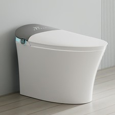 WinZo Smart Toilet With Bidet, One-Piece Elongated, Auto Open/Close  Flush