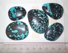 Turquoise Stone Flat Free Form Cabochon 202 Carat 5 pieces 40.4 gram