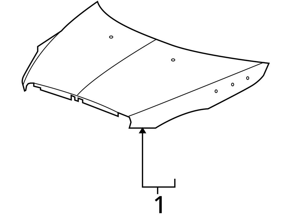 (LOCAL PICKUP ONLY) 08 09 10 11 12 BUICK ENCLAVE Hood Foto 4 de 4