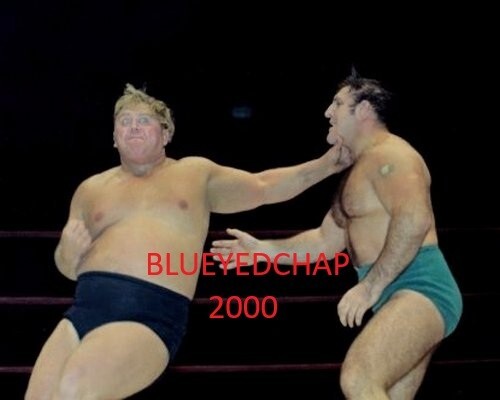 BRUNO SAMMARTINO BS BULLDOG BROWER WRESTLER 8 X 10 WRESTLING PHOTO WWWF