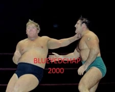BRUNO SAMMARTINO BS BULLDOG BROWER WRESTLER 8 X 10 WRESTLING PHOTO WWWF