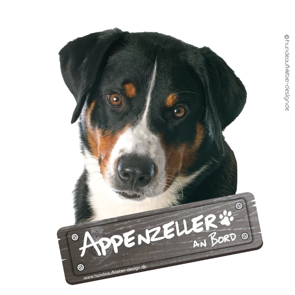 Appenzeller Sennenhund an Bord Autoaufkleber 10cm o. 20cm | KFZ Aufkleber 0606 - Bild 2 von 2