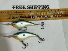 LOT OF 2 Discontinued Rapala DT-FLAT 9 FISHING LURE CRANKBAIT BLUE PEARL USED