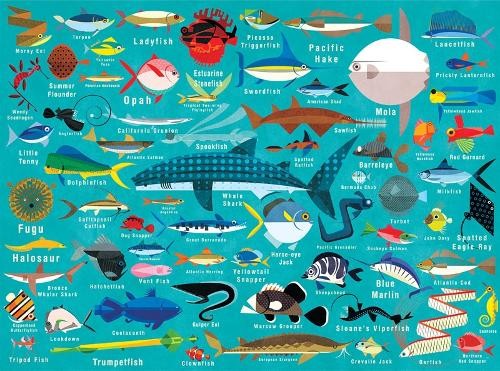 Ocean Life 1000pc Family Puzzle 6490₽