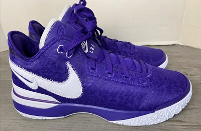 Nike LeBron NXXT Gen Tb Promo Team Purple Basketball Shoes FN7092