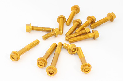 EVOTECH SCHRAUBENSATZ ERGAL MOTOR HUSQVARNA 701 SUPERMOTO SM ENGINE BOLTS