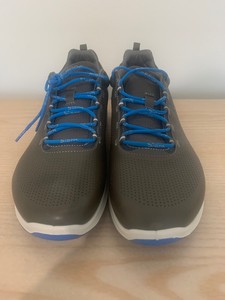 ecco men's biom fjuel train walking shoe